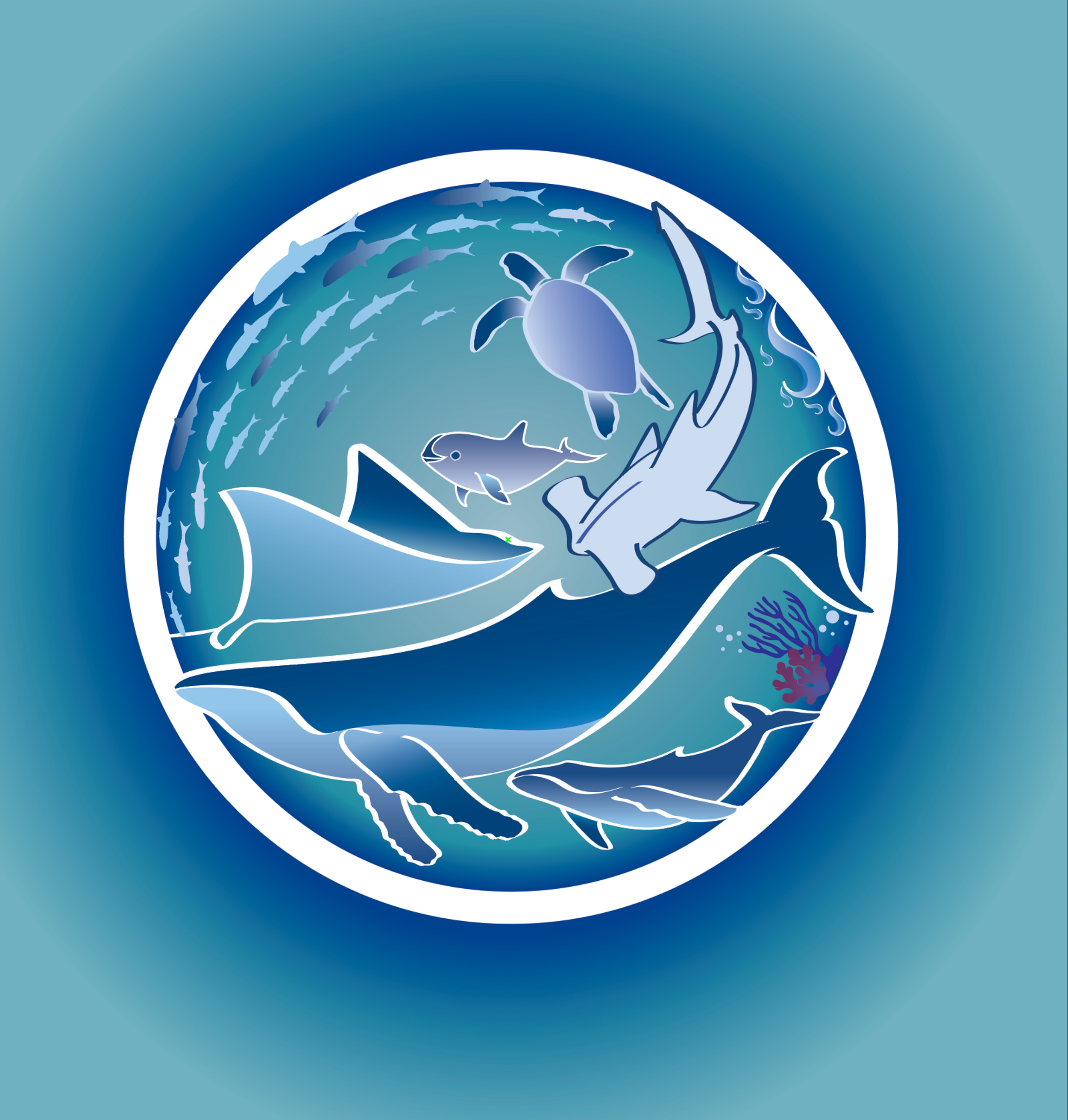 education-for-ocean-conservation